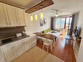 Bansko Private VIP Apartment