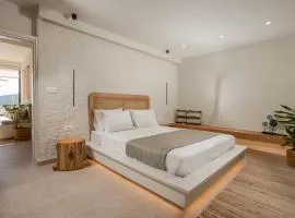 Elirion Luxury Home