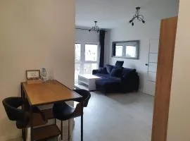 Apartament Business & Parking Sienkiewicza