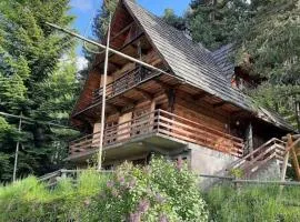 Stanleyowka klimatyczny domek w Gorcach
