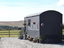 The Cloves Farm Shepherd’s Hut, hotelli kohteessa Lydford