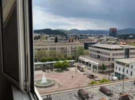 Stan u strogom centru grada