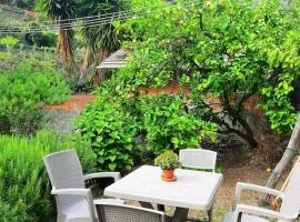Il limoneto dei Cinque Sensi,apartment with garden