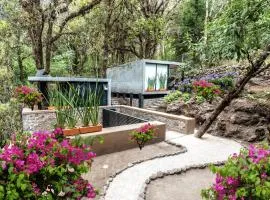 Fungi Tepoz Cabins