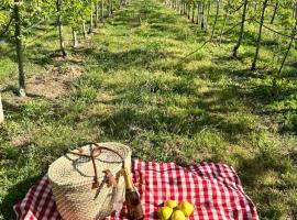 Casa Vicente, vacation home in Lamego