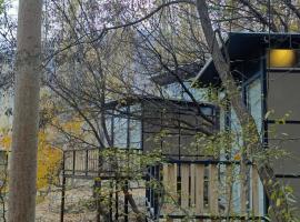Kalp with Forest View- Cloud Nine and a Half Hunza – obiekty na wynajem sezonowy w mieście Hunza