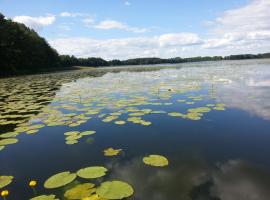 Ferienwohnung Seebusch, hotel en Schwarz