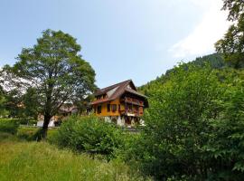 Hotel Gasthaus Hirschen im Hochschwarzwald Todtnau nahe Feldberg, hotel v destinaci Todtnau