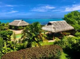 Superbe bord de mer, accès lagon et piscine privée