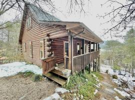 1 bedroom with a loft and hot tub cabin 45 minutes to Asheville, dovolenkový dom v destinácii Marion