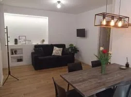 Casa Camelia - appartamento in centro a Seregno