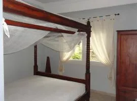 ZEN Apartment