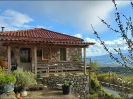 The Artist's House