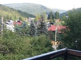 Apartament Potecuta Ursului