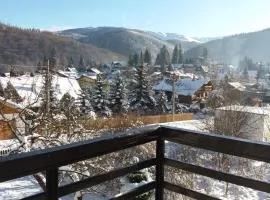 Apartament Potecuta Ursului