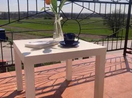 Apartament Villa Olivia