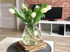 Uroczy apartament w Giżycku