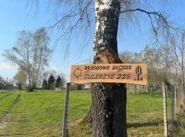 Brzozowe zacisze