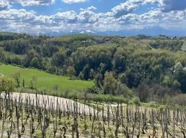 Spicchio di Langa - casa indipendente tra le vigne e le Alpi