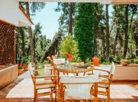 Vacation home with large garden in Sani's forest