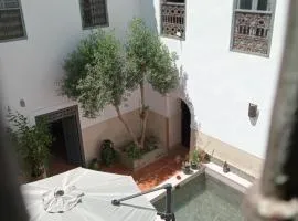 Riad le Jardin de Mina