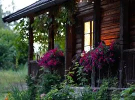 Villa Leonore: Sommerhus m/strandlinje på Helgøya