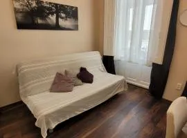 VM56