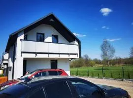 Domki u Edzi