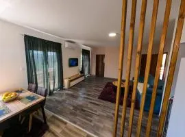 Apartman KOSTA