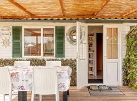 Oasis on the river 2