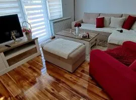 APARTMANI DIJANA