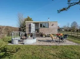 Lily Pad, Friston