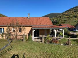 Gite Les Cimes, Villa in La Bresse