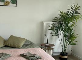 Studio T à 5mn euro airport avec terrasse, hotel i Saint-Louis