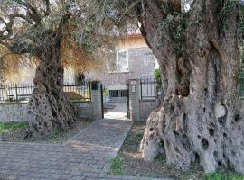 La casa degli ulivi, apartmán v destinácii Turri