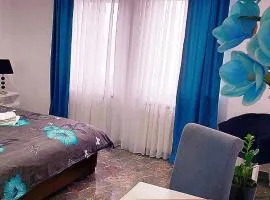 Apartman Milion Banja Koviljača