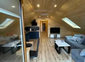 Apartament na poddaszu u Reni