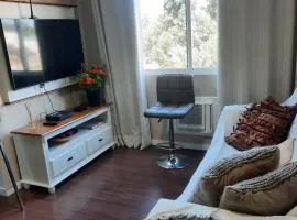 Apartamento encantador