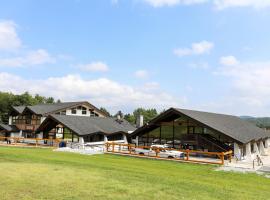 Mountain Lodge at Okemo, resort in Ludlow