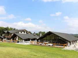 Mountain Lodge at Okemo