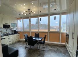 APARTMENT PREMIUM VIP, hotel com estacionamento em Berdychiv