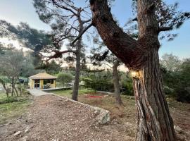 Kikis Cottage: Antípaxos şehrinde bir otel