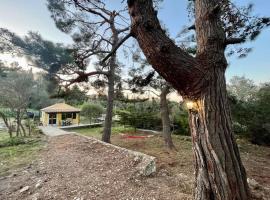 Kikis Cottage, Hotel in Andipaxos