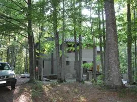 Casa nel bosco alle Macinaie