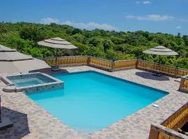 Blue Berry Hill Villa