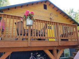 Rustic Elegance – hotel dla rodzin w mieście Talkeetna