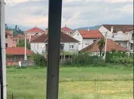 NIKOLA s HOUSE