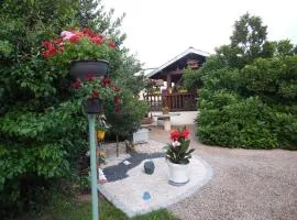 Gîte chaleureux avec terrasse, proche des activités touristiques et nature des Vosges - FR-1-589-177