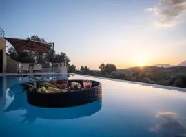 Villa Olea with eco Pool