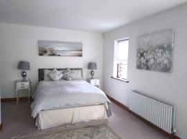 The Wandering Donkey Guest House, guest house in Carlow
